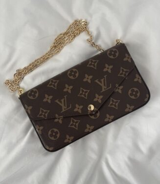 Louis Vuitton Brown Bag
