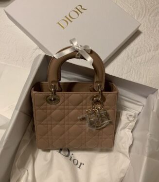 Dior Brown Bag